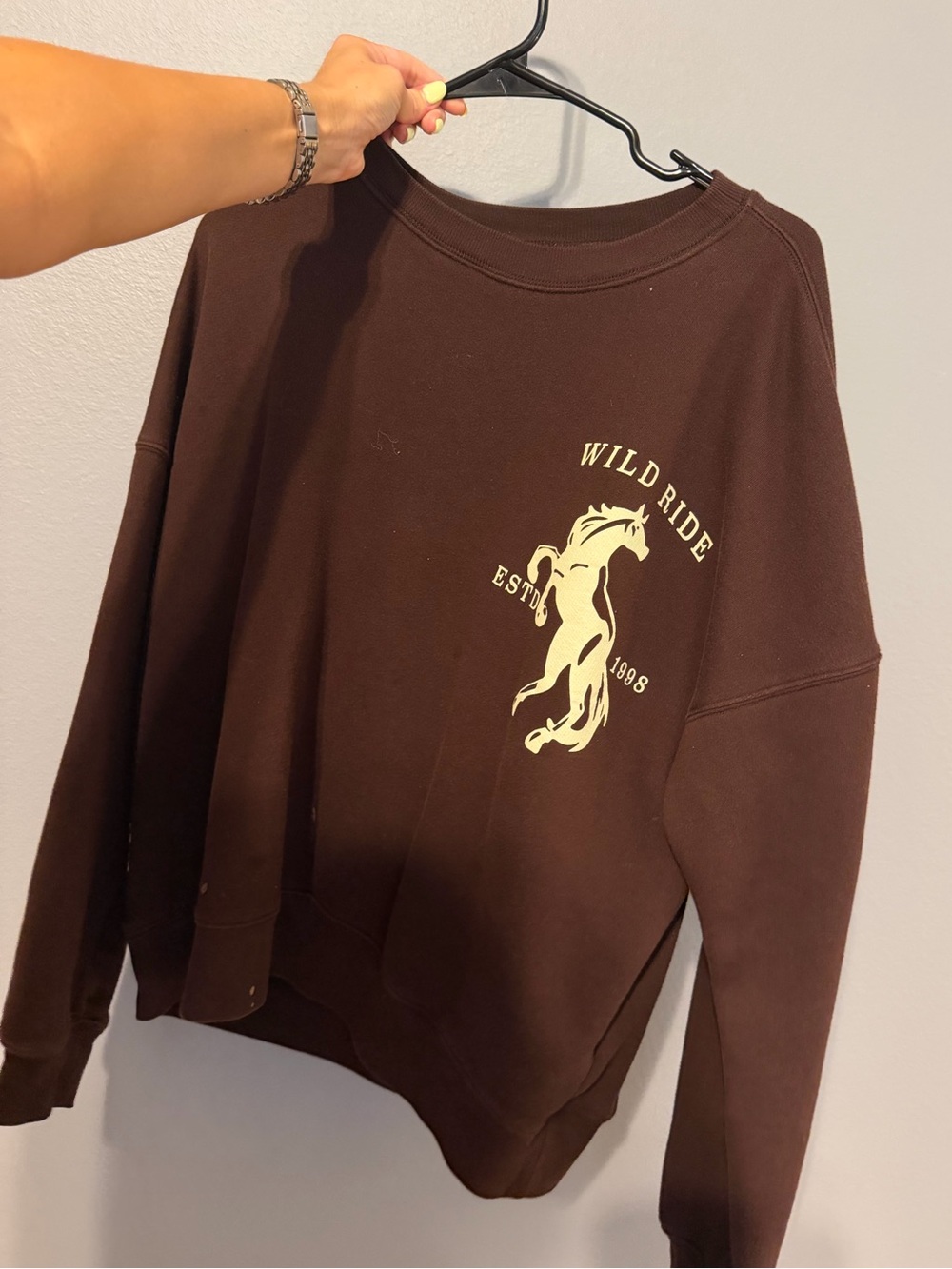 wild fable Brown Crewneck with Cream Horse Graphic